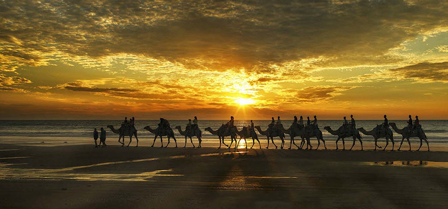 Camel ride at sunset at cable beach
