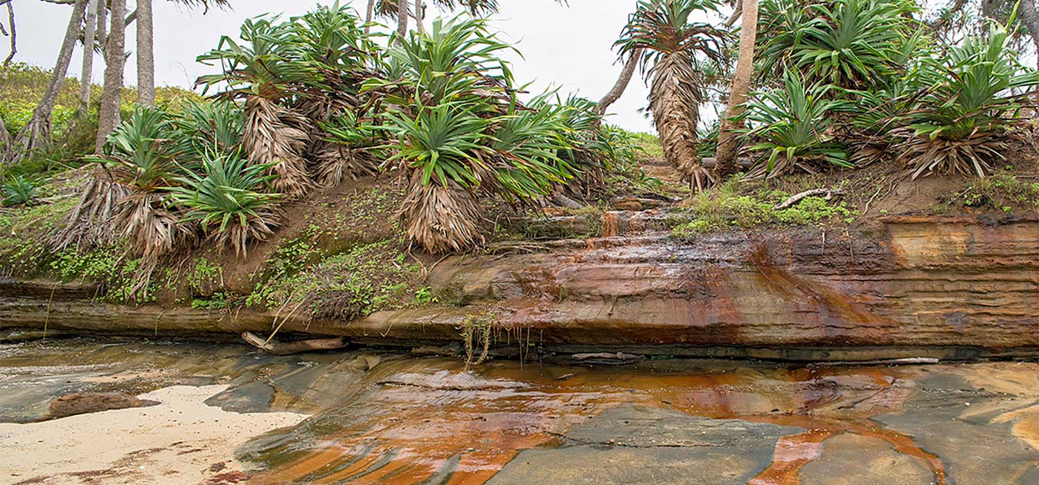 Water leeching throuth the rocks at Captain Billy's Landing