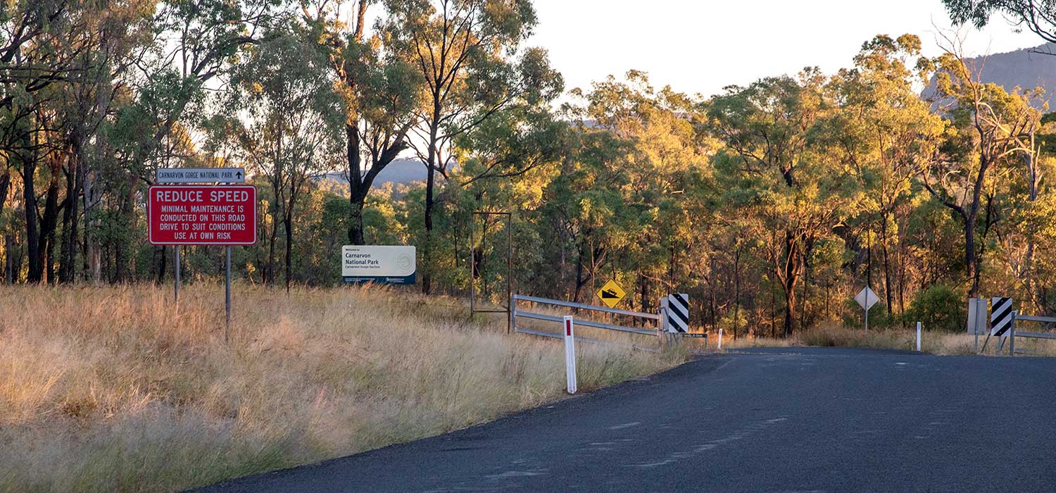 The road to Carnarvon Gorge