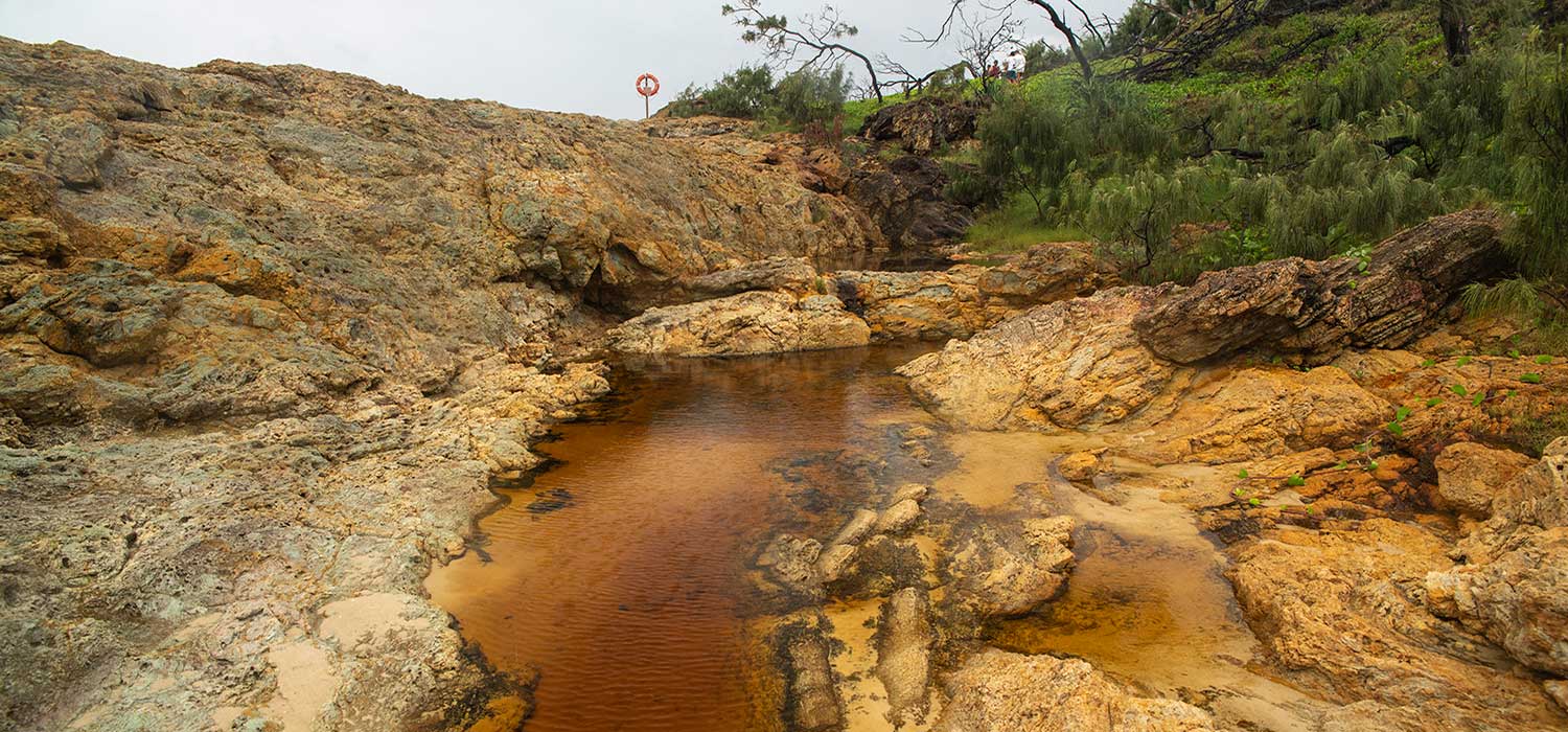 A creek on Morton Island