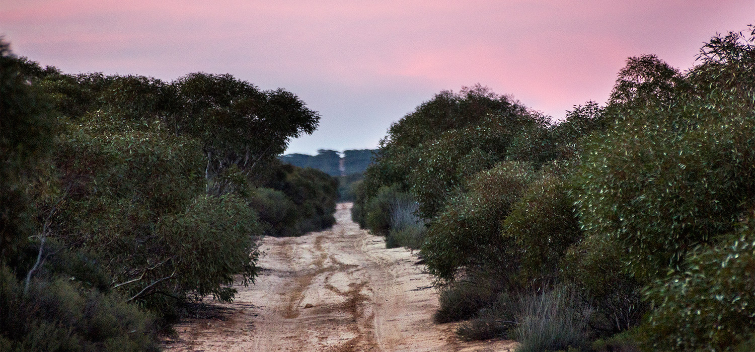 Murray Sunset National Park track 