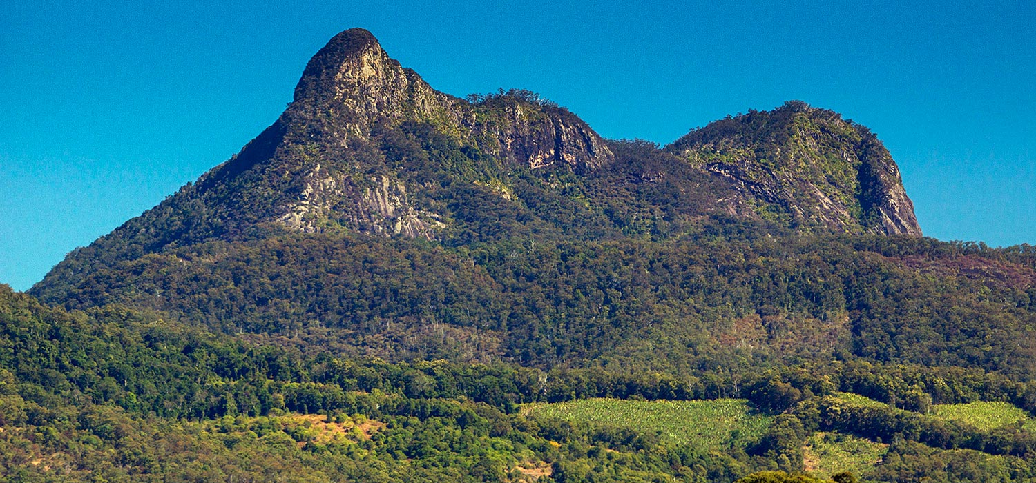 Mount Warning at Uki