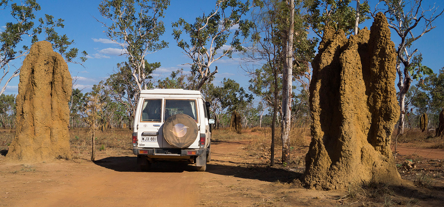 Termite Mounds in Kakadu