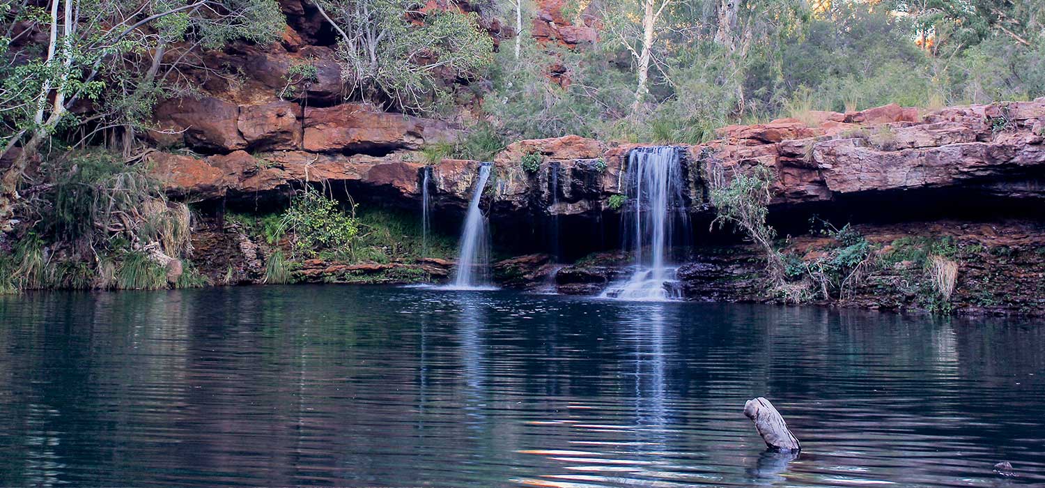 Fern Pool in Karajini