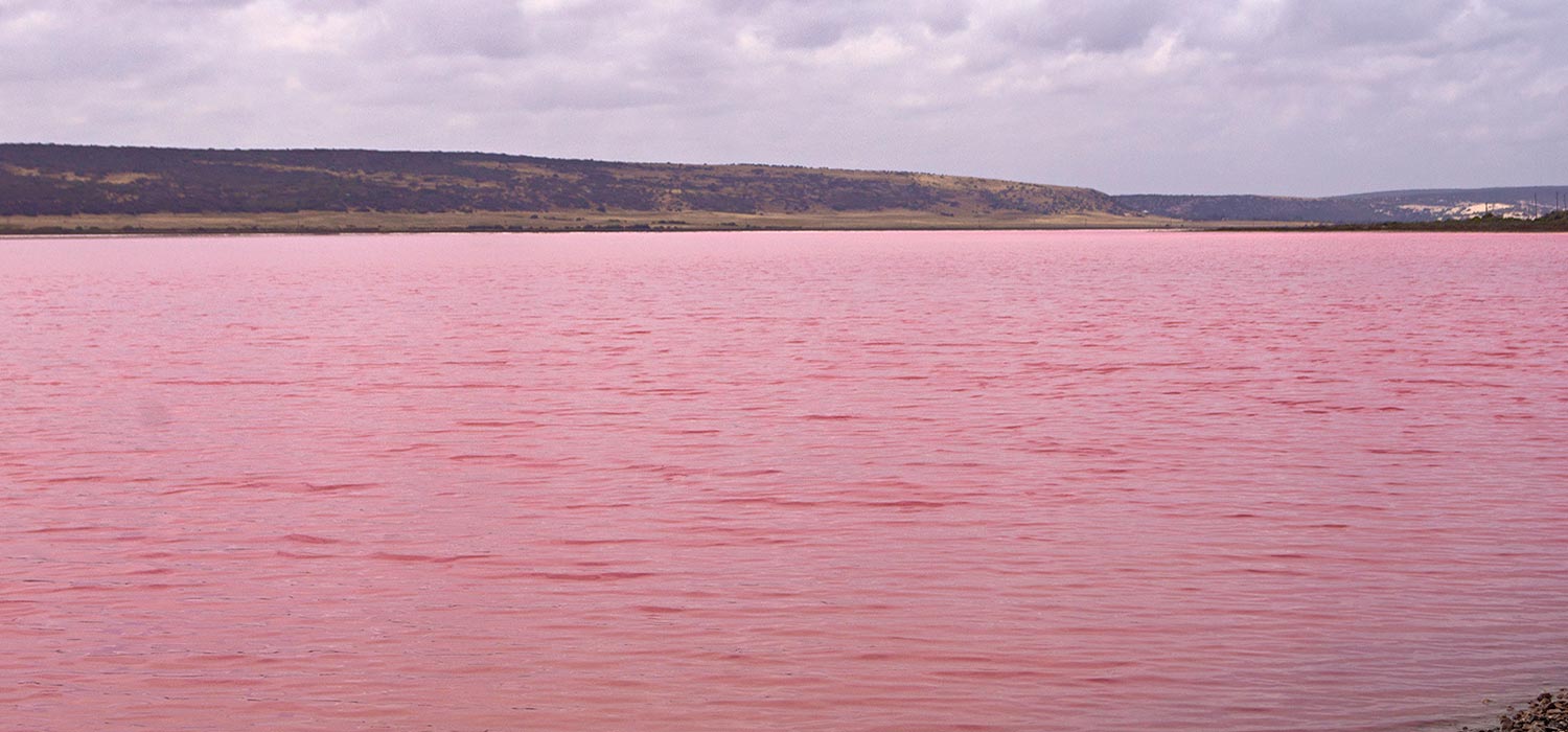 The Pink lake(lake Hutt)