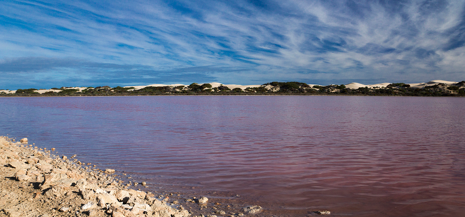 The Pink Lake