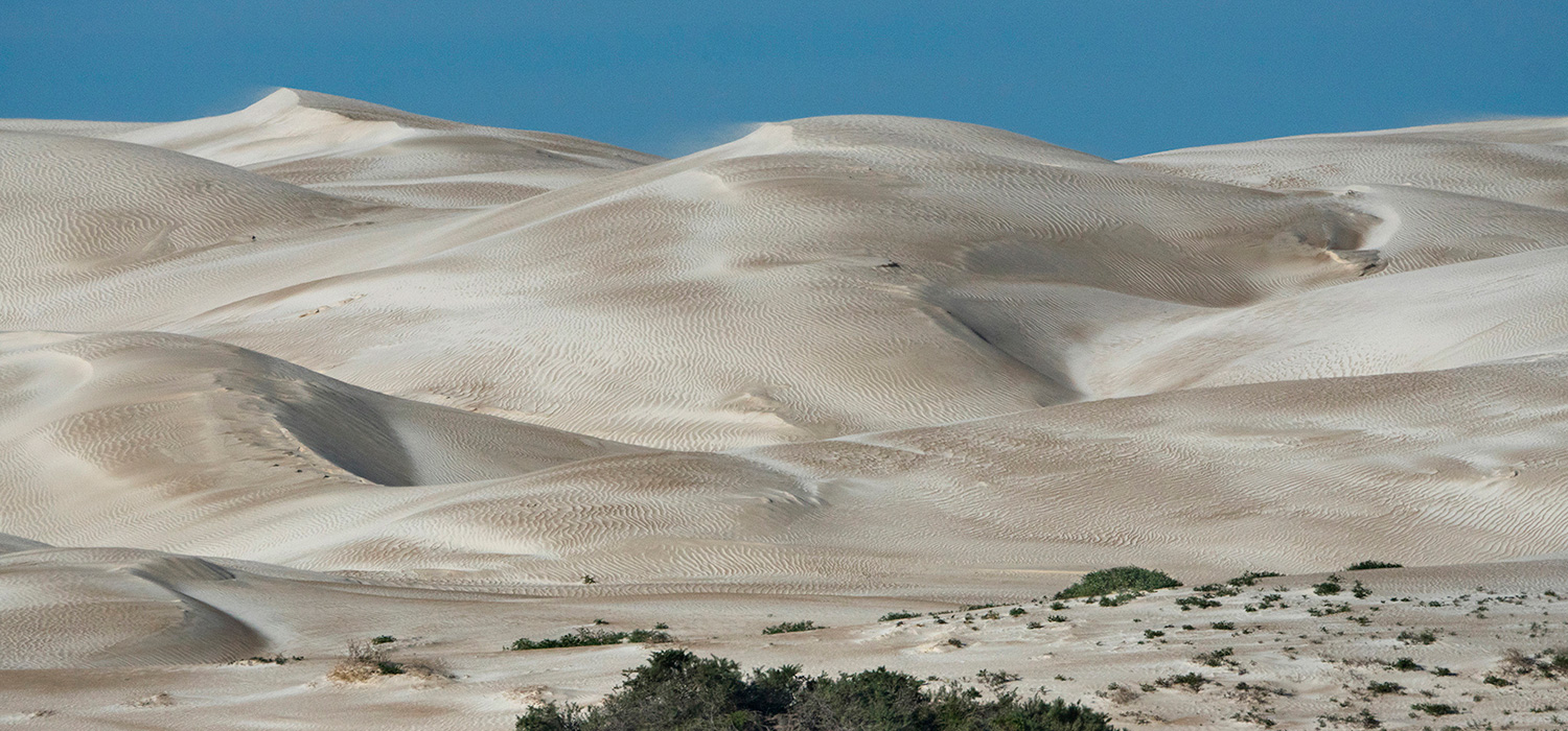 The Sand dunes