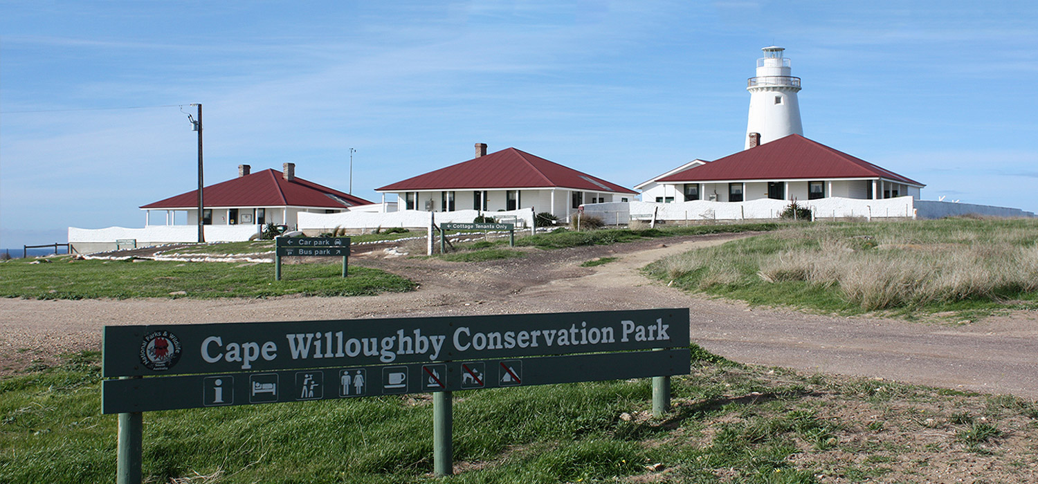 The Cape Willoughby Light house and cottages