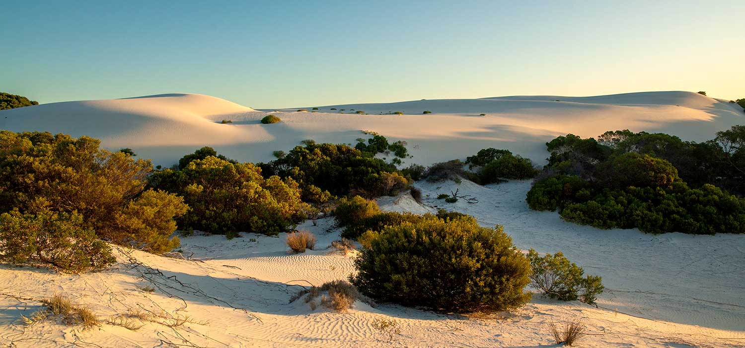 Sunset on the sand dunes at the Eyre Bird Observatory