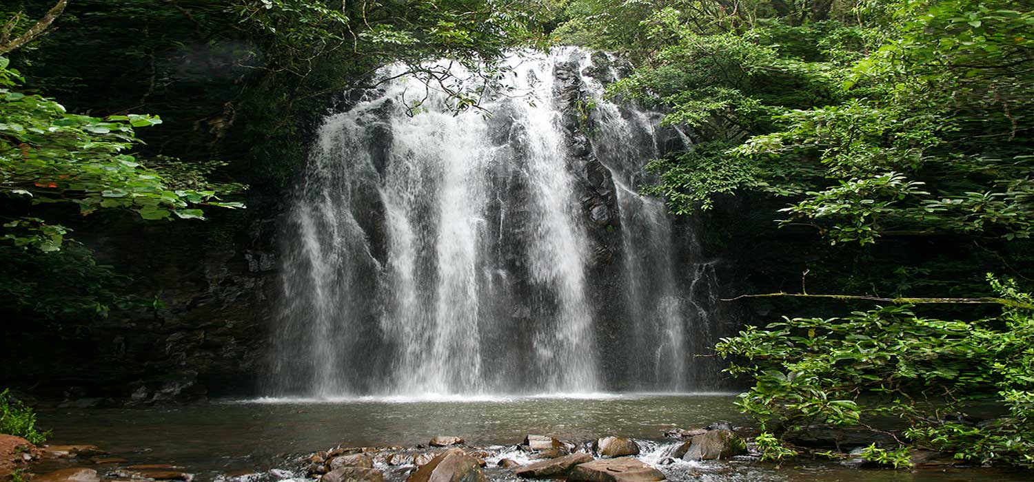 Waterfall in the Atherton Tablelands